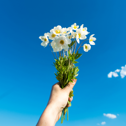 Welcoming Spring: 6 Steps to Refresh Your Wellness Routine